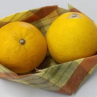 播州織の蜜蝋ラップづくりワークショップ（蜜蝋のかけらお土産付き）の画像