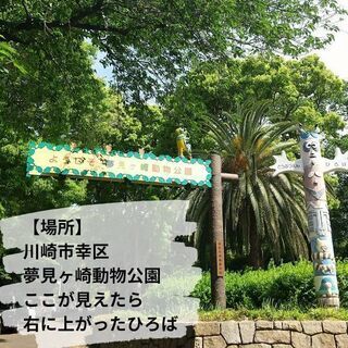パークヨガ川崎  5/22(土)、23(日)  晴れてる土日毎週開催！の画像