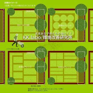 🥭🍐オーガニック貸し農園✨利用料無料です。❗❗オーガニック苗販売中です！！ - 不動産