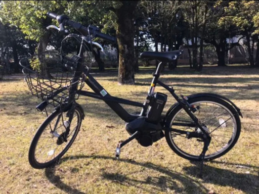 【コンパクト電動アシスト自転車】ブリヂストン　リアルストームミニ