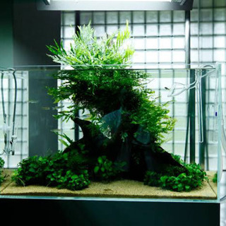ADA 60xm水槽 ろ過システム　水槽台