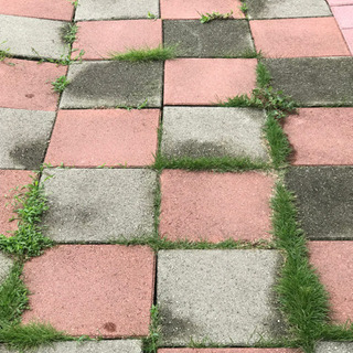 レンガ - 名古屋市