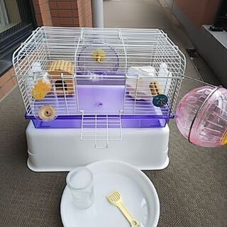 ハムスター飼育セット