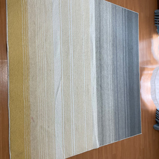 ラグと掃除機もらってください！