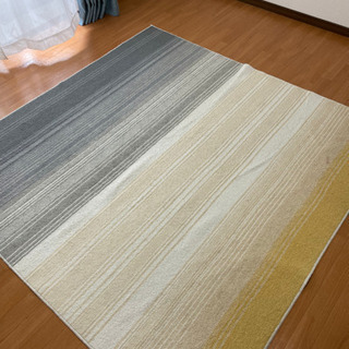 ラグと掃除機もらってください！の画像