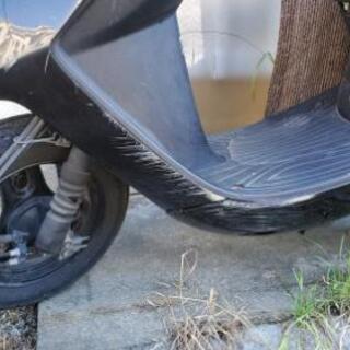 【決まりました】原付き Dioの画像