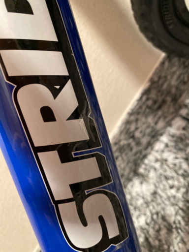ストライダースポーツ