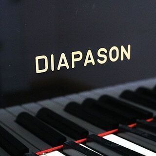 グランドピアノ【ディアパソンD-171BG】販売の画像