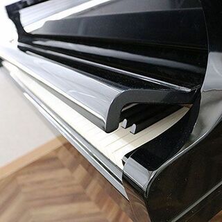 グランドピアノ【ディアパソンD-171BG】販売の画像