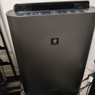 バルミューダトースター、dysonV7slim、SHARP空気清浄機の画像