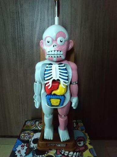 人体模型ドキドキクラッシュ