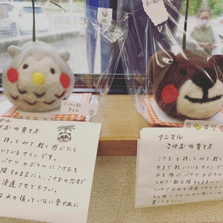 白浜　栄マーケット！！！　ハンドメイド　パンダ − 和歌山県