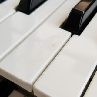 STAGEA　ELS-01　の画像