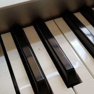 STAGEA　ELS-01　の画像