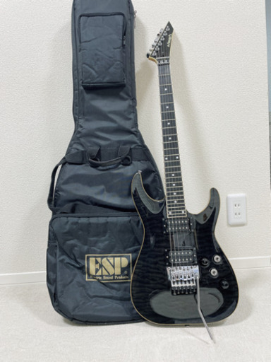【EDWARDS】ギターなど一式　お売り致します