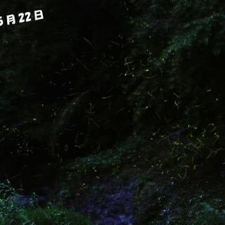 ホタル好き集れー！！ - 友達