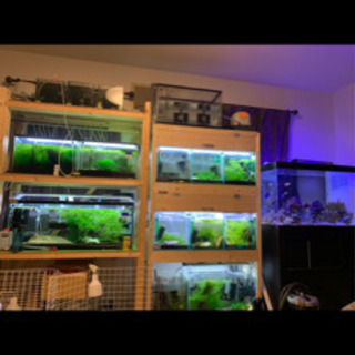 水槽台