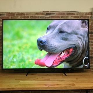 即日受渡❣️2年前購入 4K超解像度50型液晶ゲーミングモニター...