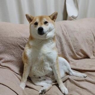 会える人いるかな？