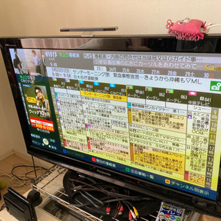 パナソニック　プラズマテレビ　42インチ　VIERA TH-P42X1