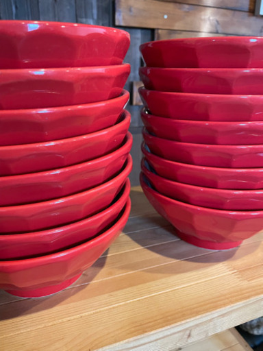 赤のラーメン丼【美品】