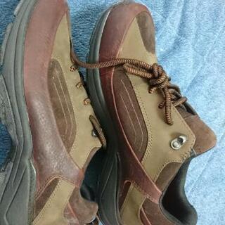 ロックポート 新品の画像