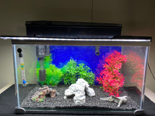 熱帯魚飼育用品のセット
