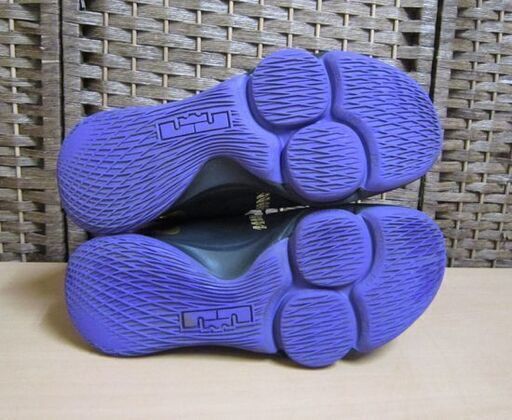 ナイキ バスケットシューズ レブロン ウィットネス V EP 26.5cm US8.5 メンズ CQ9381-001 NIKE スニー