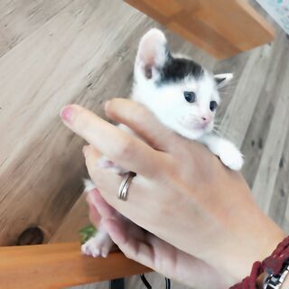 今日も夢の世界へ「わかめ」ちゃん🌟