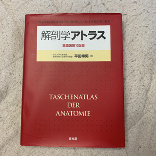 解剖学アトラス　