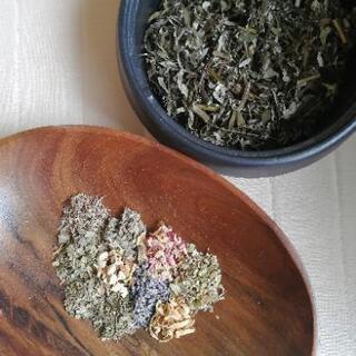 よもぎ蒸し講座【おかま直伝よもぎ蒸し】の画像