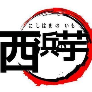 サツマイモの苗