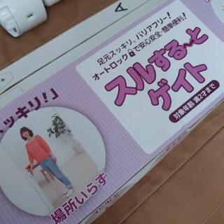 スルする～とゲイト