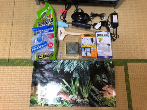 60センチ水槽セット