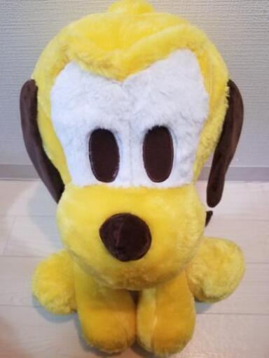プルート　少し大きめです☺️