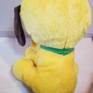 プルート　少し大きめです☺️の画像