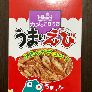 亀のご褒美（エビ餌）