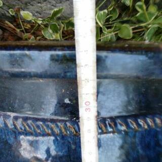 植木鉢藍色の画像