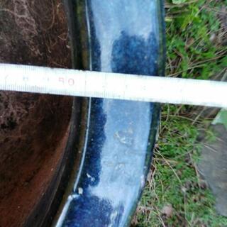 植木鉢藍色の画像