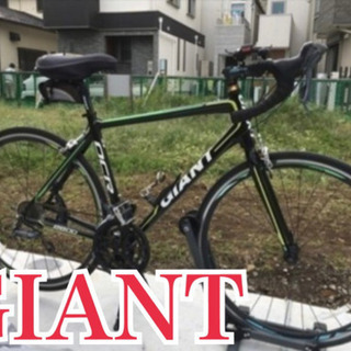 GIANT OCR2800