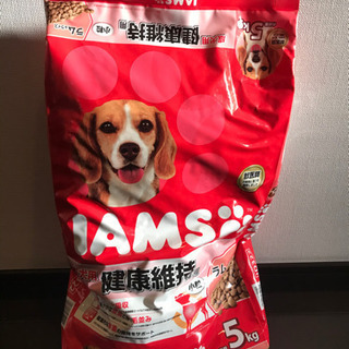 【ペットフード】アイムス ラム＆ライス 5kg