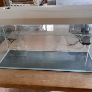 水槽60cm＊20cm＊20cm KOTOBUKI製　差し上げます