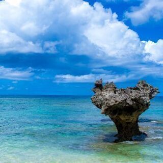 海の見えるレストラン🏝️オープニングスタッフ募集の画像