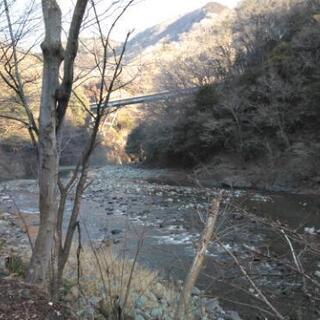 ソロキャンプ仲間（野営NG）募集中