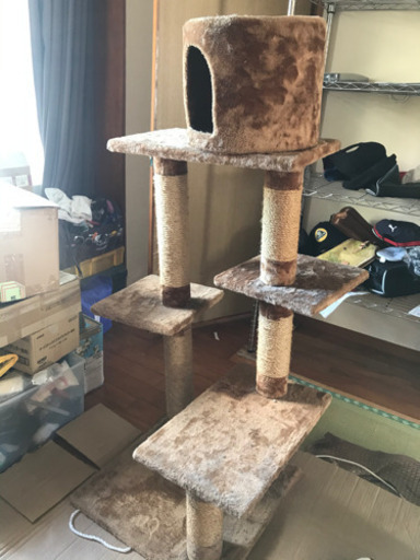キャットタワー