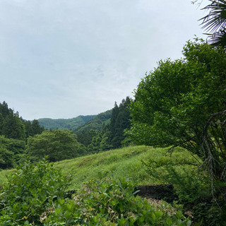 中山間地の田舎暮らし【援農ボランティア募集】