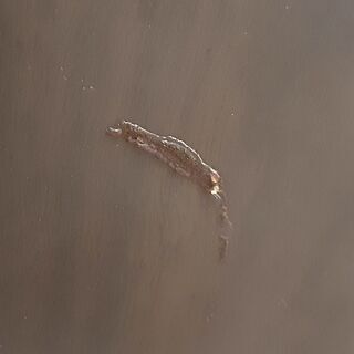 ビクター レトロスピーカー SK21620　/DJ-0097-Sの画像