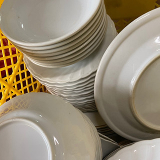 お皿　無料　あげます　大量　開業の画像