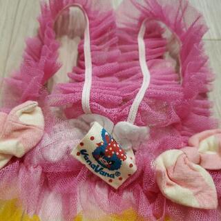 Vanavana120の画像