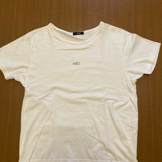 INED 白Tシャツ